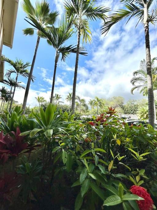 Amazing Condo Peaks Of Ocean View On Ali'I Dr By Surf Spots Кайлуа-Кона Екстер'єр фото